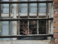К чему приведет массовая амнистия российских заключенных?